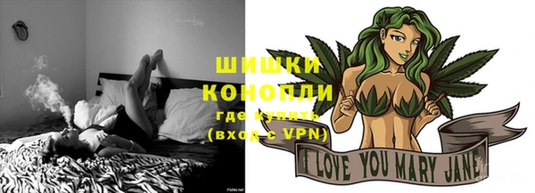 МДПВ Волоколамск