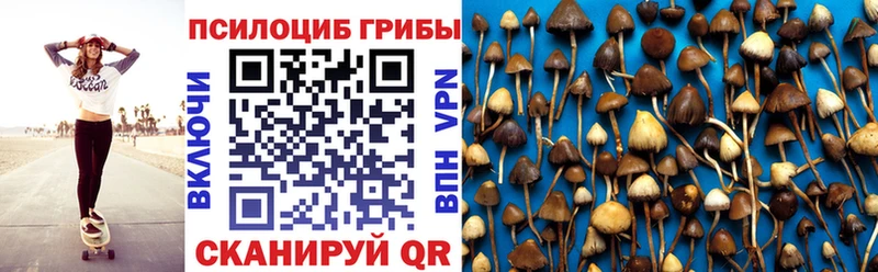 дарк нет как зайти  Королёв  Псилоцибиновые грибы Cubensis  даркнет сайт 